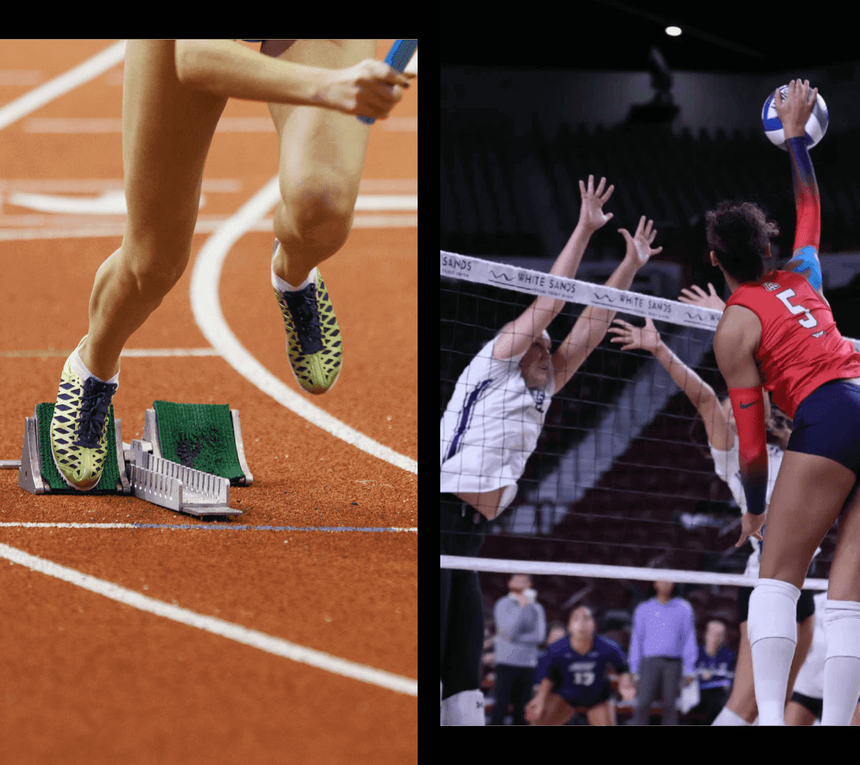 Athletes competing across multiple sports
