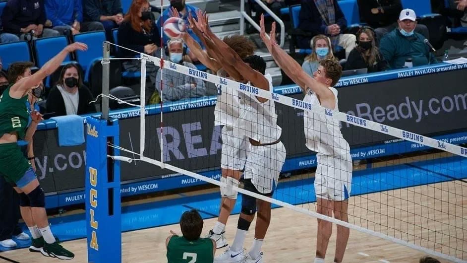 Volleyball players at the net